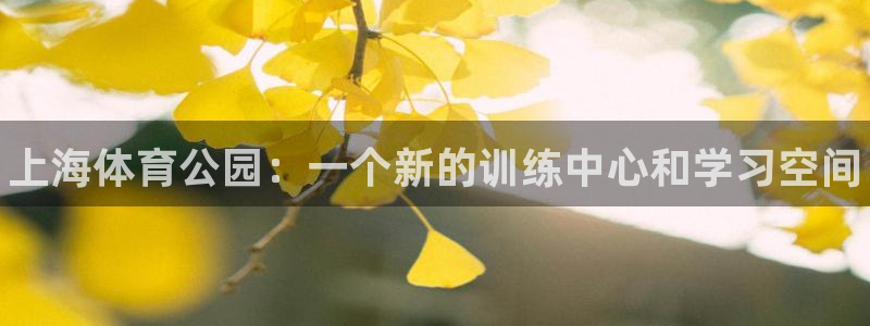 海南米兰体育官网下载：上海体育公园：一个新的训练中心