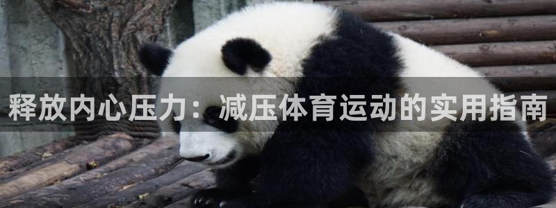 米兰体育官方正版app娱乐平台：释放内心压力：减压体