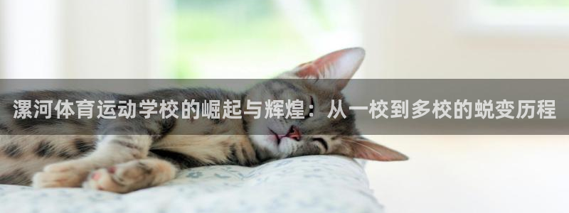 米兰体育官方正版app官网：漯河体育运动学校的崛起与
