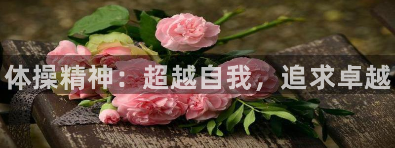 米兰体育官网下载招商电话地址：体操精神：超越自我，追