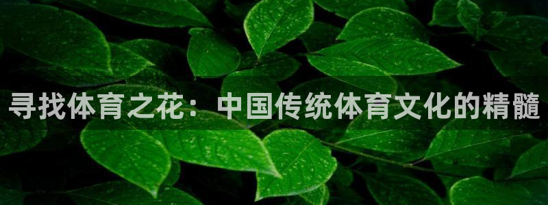 米兰体育官网下载官方客服电话：寻找体育之花：中国传统