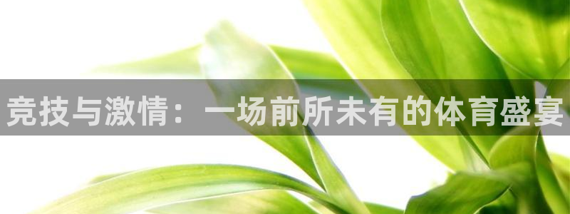 米兰体育官网下载招商电话号码：竞技与激情：一场前所未有的体育