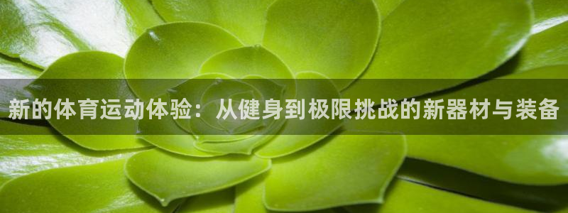 米兰体育官网下载平台注册：新的体育运动体验：从健身到极限挑战