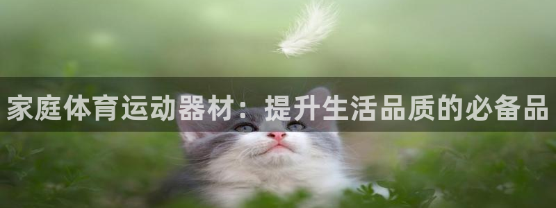 米兰体育官方正版app集团简介：家庭体育运动器材：提
