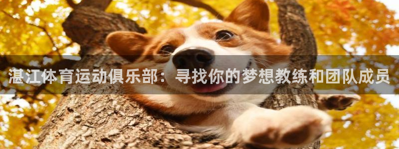米兰体育官方正版app娱乐下载：湛江体育运动俱乐部：寻找你的