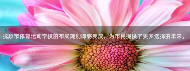 米兰体育官方正版app神州：抚顺市体育运动学校的布局规划即将