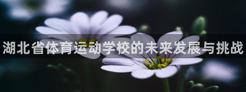 米兰体育官网下载平台注册要钱吗：湖北省体育运动学校的未来发展