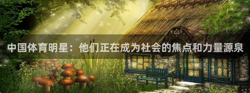 米兰体育官方正版app集团官网首页网址：中国体育明星：他们正