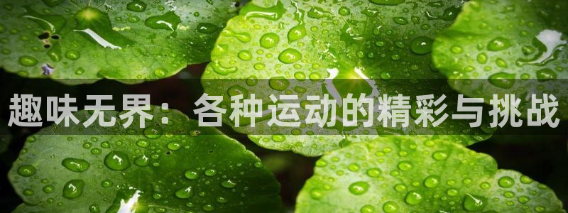 米兰体育官方正版app官网：趣味无界：各种运动的精彩与挑战