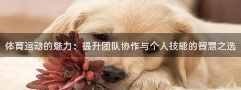 米兰体育官网下载娱乐：体育运动的魅力：提升团队协作与个人技能