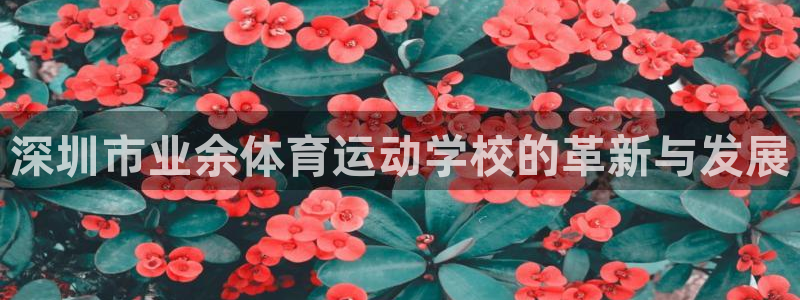 米兰体育官网下载招商电话号码是多少啊：深圳市业余体育运动学校