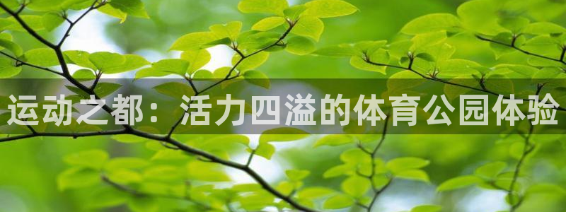 米兰体育官方正版app新能源：运动之都：活力四溢的体育公园体