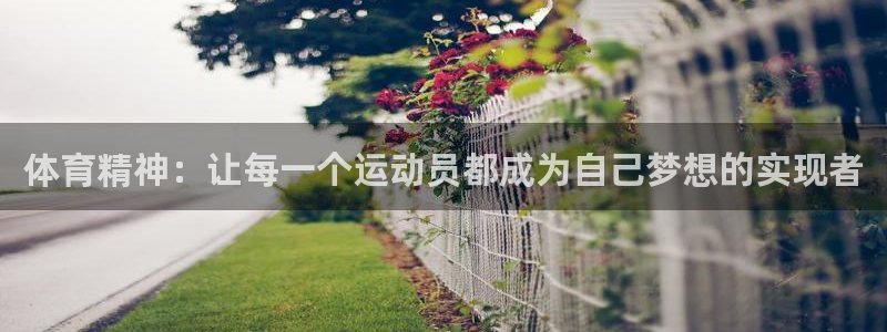 米兰体育登录：体育精神：让每一个运动