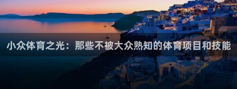 北京市米兰体育文化发展有限公司：小众