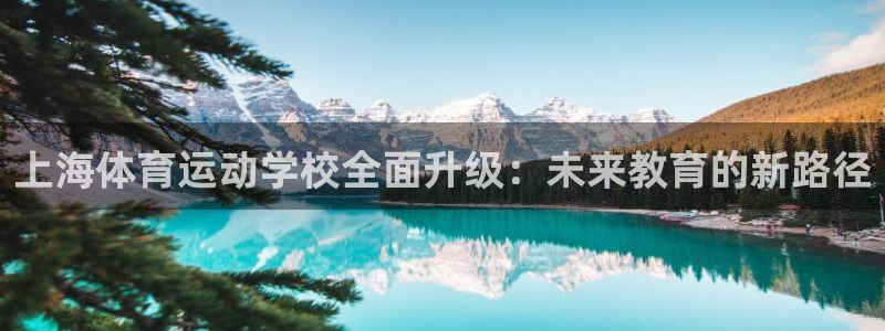 米兰体育买赛票可靠吗安全吗：上海体育