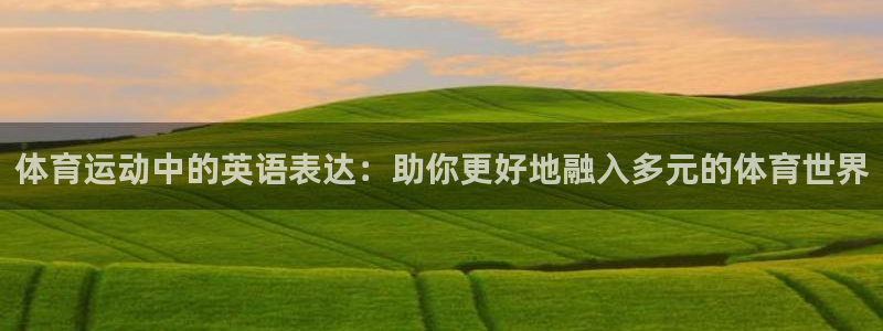 米兰体育vip4充了多少钱啊：体育运