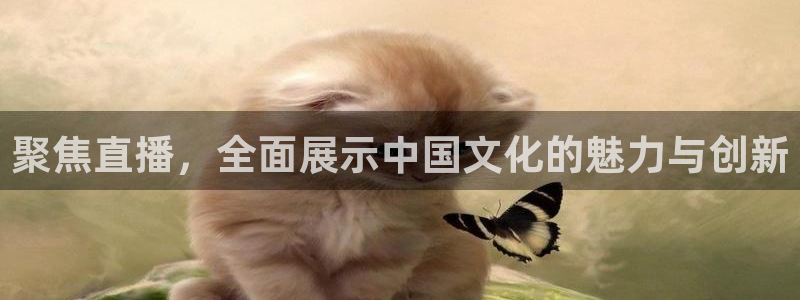 河豚体育直播免费观看：聚焦直播，全面展示中国文化的魅力与创新