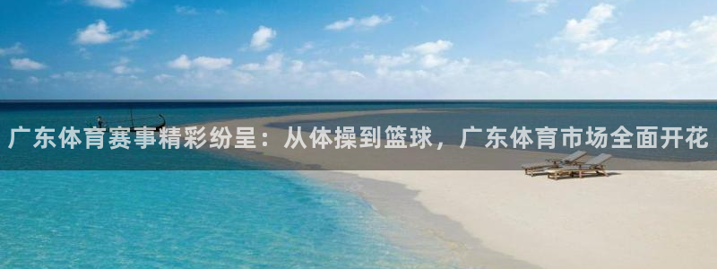 河豚体育直播下载：广东体育赛事精彩纷呈：从体操到篮球，广东体育市场全面开花