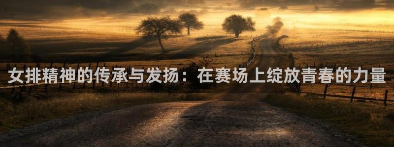河豚体育直播在线观看：女排精神的传承与发扬：在赛场上绽放青春的力量