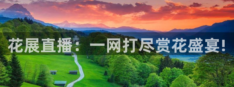 河豚直播体育直播：花展直播：一网打尽赏花盛宴!