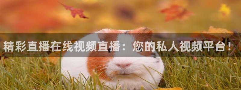 河豚直播体育直播：精彩直播在线视频直播：您的私人视频平台！