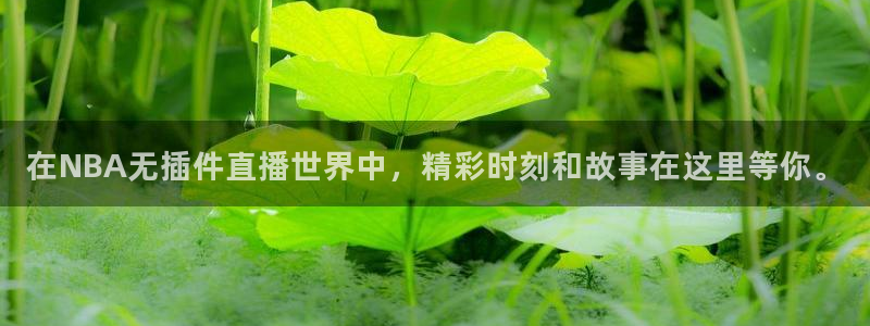 河豚体育app官方下载：在NBA无插件直播世界中，精彩时刻和故事在这里等你。
