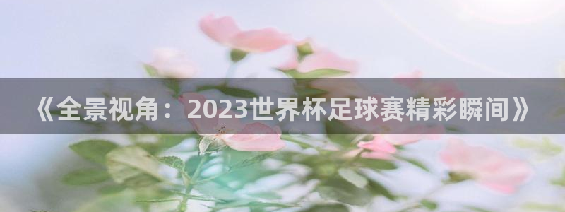 河豚视频：《全景视角：2023世界杯足球赛精彩瞬间》