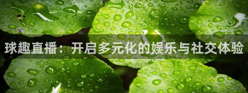 河豚体育篮球直播：球趣直播：开启多元化的娱乐与社交体验