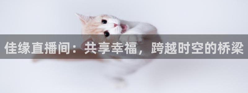 河豚的直播网：佳缘直播间：共享幸福，跨越时空的桥梁