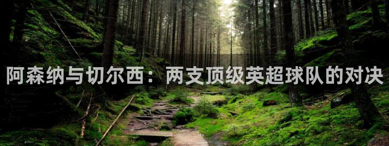 河豚体育在线直播nba：阿森纳与切尔西：两支顶级英超球队的对决