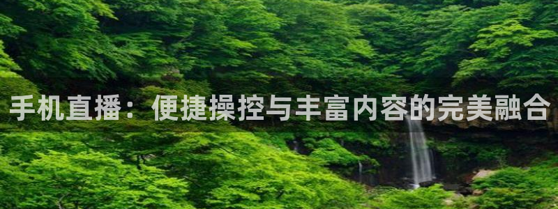 河豚直播在线看球